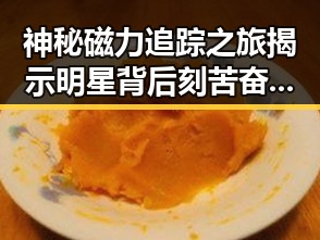 神秘磁力追踪之旅揭示明星背后刻苦奋斗的秘密