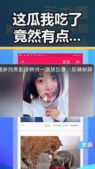 这瓜我吃了竟然有点甜,娱乐吃瓜酱声音配猫咪吃瓜视频大盘引发反差感