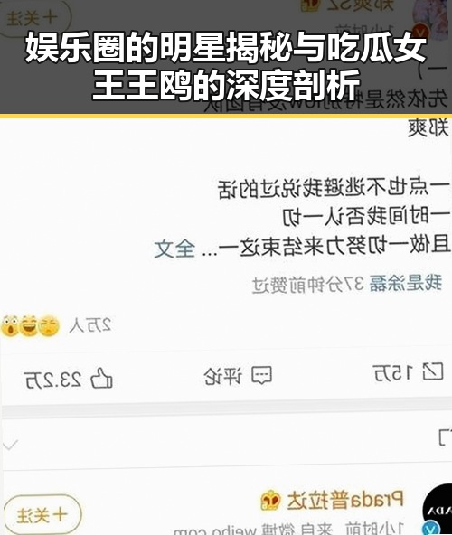娱乐圈的明星揭秘与吃瓜女王王鸥的深度剖析