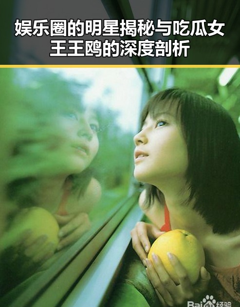 娱乐圈的明星揭秘与吃瓜女王王鸥的深度剖析