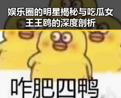娱乐圈的明星揭秘与吃瓜女王王鸥的深度剖析