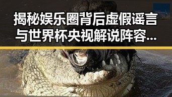 揭秘娱乐圈背后虚假谣言与世界杯央视解说阵容亮相引发吃瓜大军热议