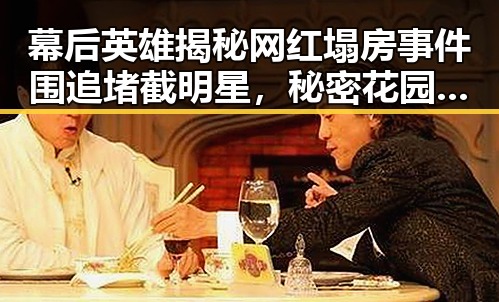 幕后英雄揭秘网红塌房事件围追堵截明星，秘密花园中的真相曝光