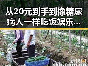 从20元到手到像糖尿病人一样吃饭娱乐圈黑料的极端控糖控主食背后