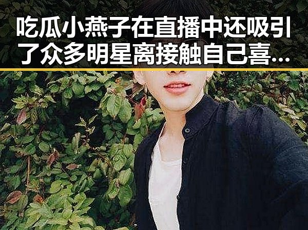 吃瓜小燕子在直播中还吸引了众多明星离接触自己喜欢的明星成为风向标
